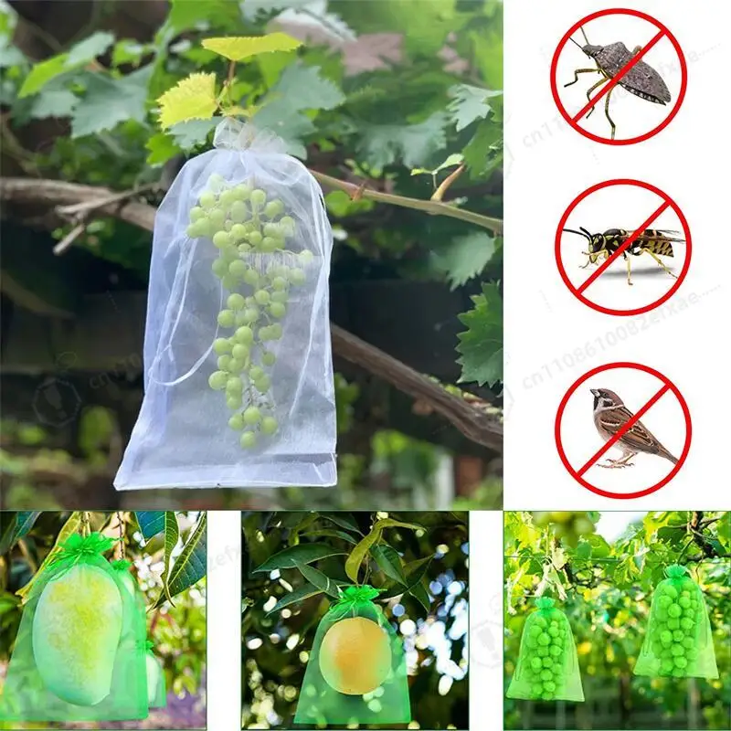 50/100pcs Fruit Protection Bags Mesh Drawstring Organza Bags Anti Bird Pest Control Net for Grape Strawberry Vegetable Garden
50/100pcs Fruit Protection Bags Mesh Drawstring Organza Bags Anti Bird Pest Control Net for Grape Strawberry Vegetable Garden