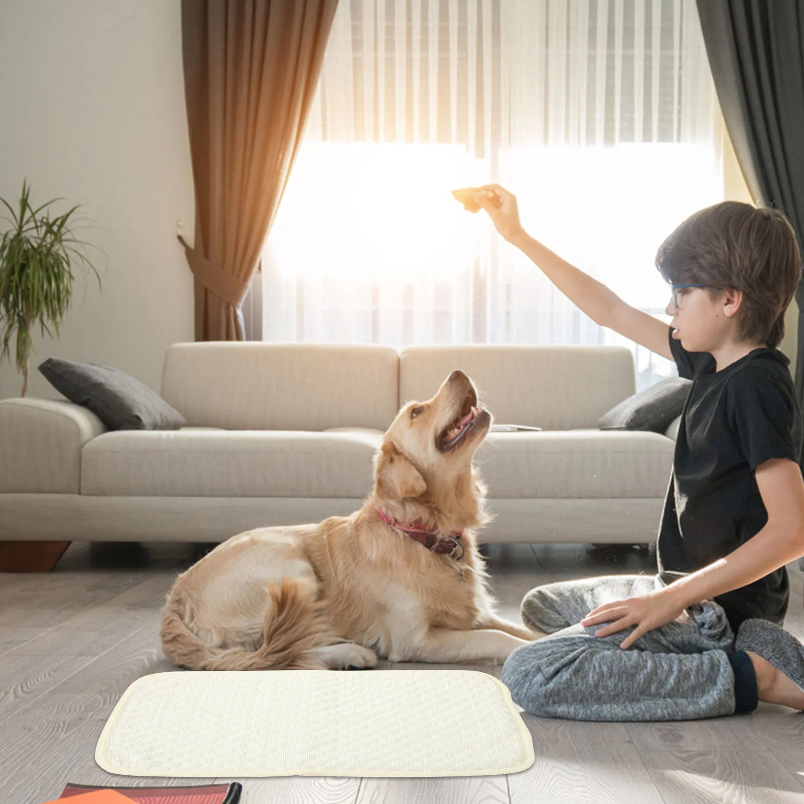 Pet Cooling Pad Ice Mat for Dog Cat Small Animals XS Size Washable Summer Rabbit Hamster Bed Nest Mat
Pet Cooling Pad Ice Mat for Dog Cat Small Animals XS Size Washable Summer Rabbit Hamster Bed Nest Mat