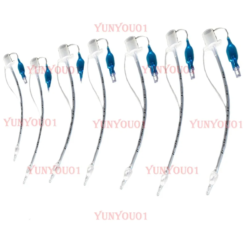 Cat Trachea Olive Type Airbag Cat Special Air Intubation Small Animal Trachea Pet Air Insertion Breathing
Cat Trachea Olive Type Airbag Cat Special Air Intubation Small Animal Trachea Pet Air Insertion Breathing