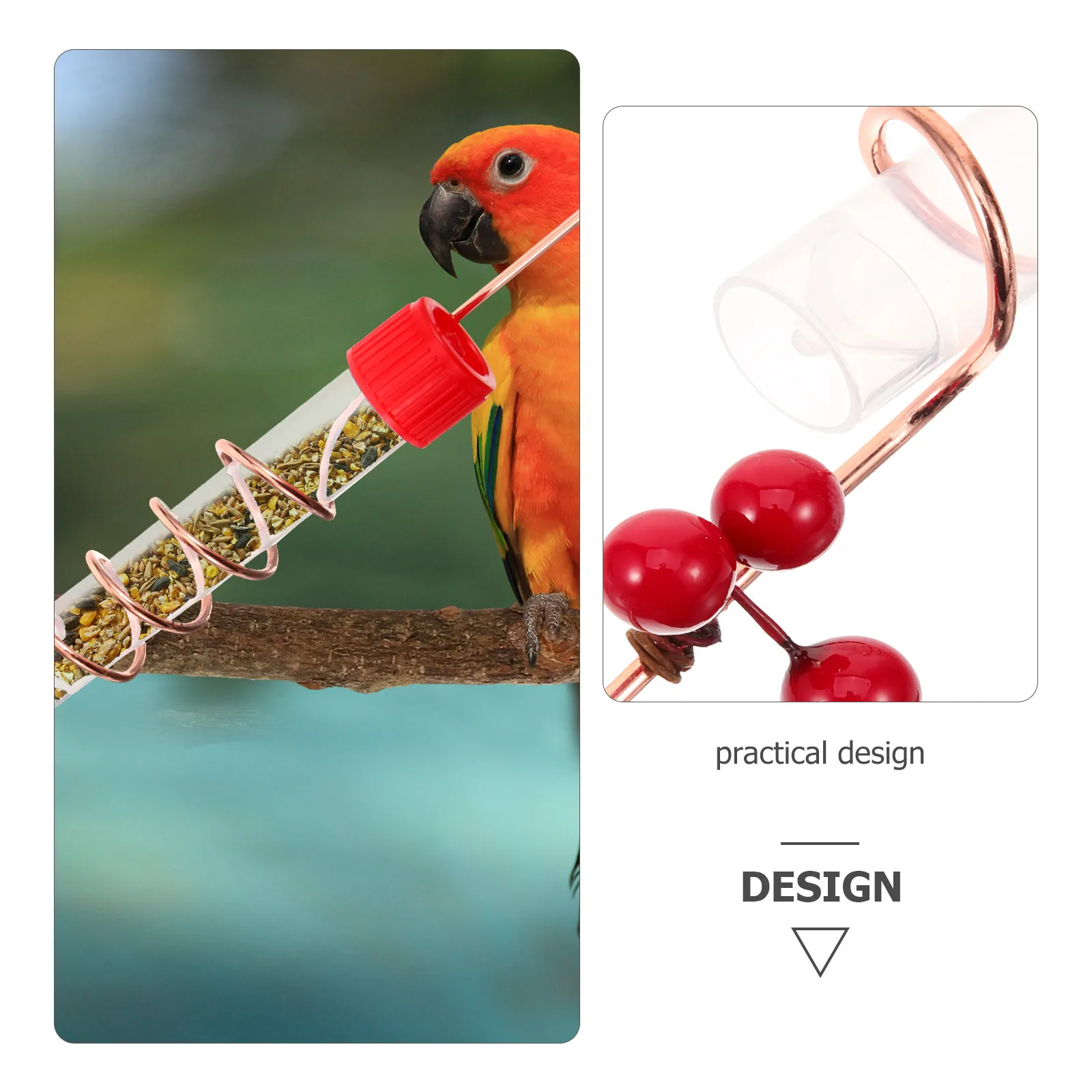 Bird Birds Feeder for Outdoors Feeding Station Hanging Feeders Tray outside Water
Bird Birds Feeder for Outdoors Feeding Station Hanging Feeders Tray outside Water