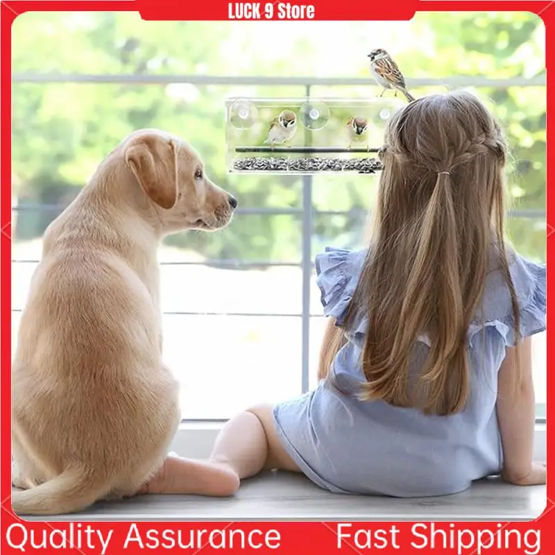 Window Bird Feeder, Wild Bird Feeder, Transparent Window Bird Feeder, Exquisite Bird Watching Gift-AB52
Window Bird Feeder, Wild Bird Feeder, Transparent Window Bird Feeder, Exquisite Bird Watching Gift-AB52