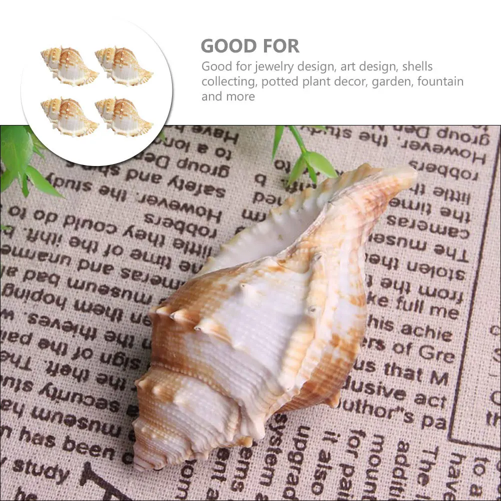 4Pcs Natural Sea Shell Conch Crafts Smooth Edges Aquarium Fish Tank Decor DIY Nautical Ornaments Floral Wreath Filling
4Pcs Natural Sea Shell Conch Crafts Smooth Edges Aquarium Fish Tank Decor DIY Nautical Ornaments Floral Wreath Filling