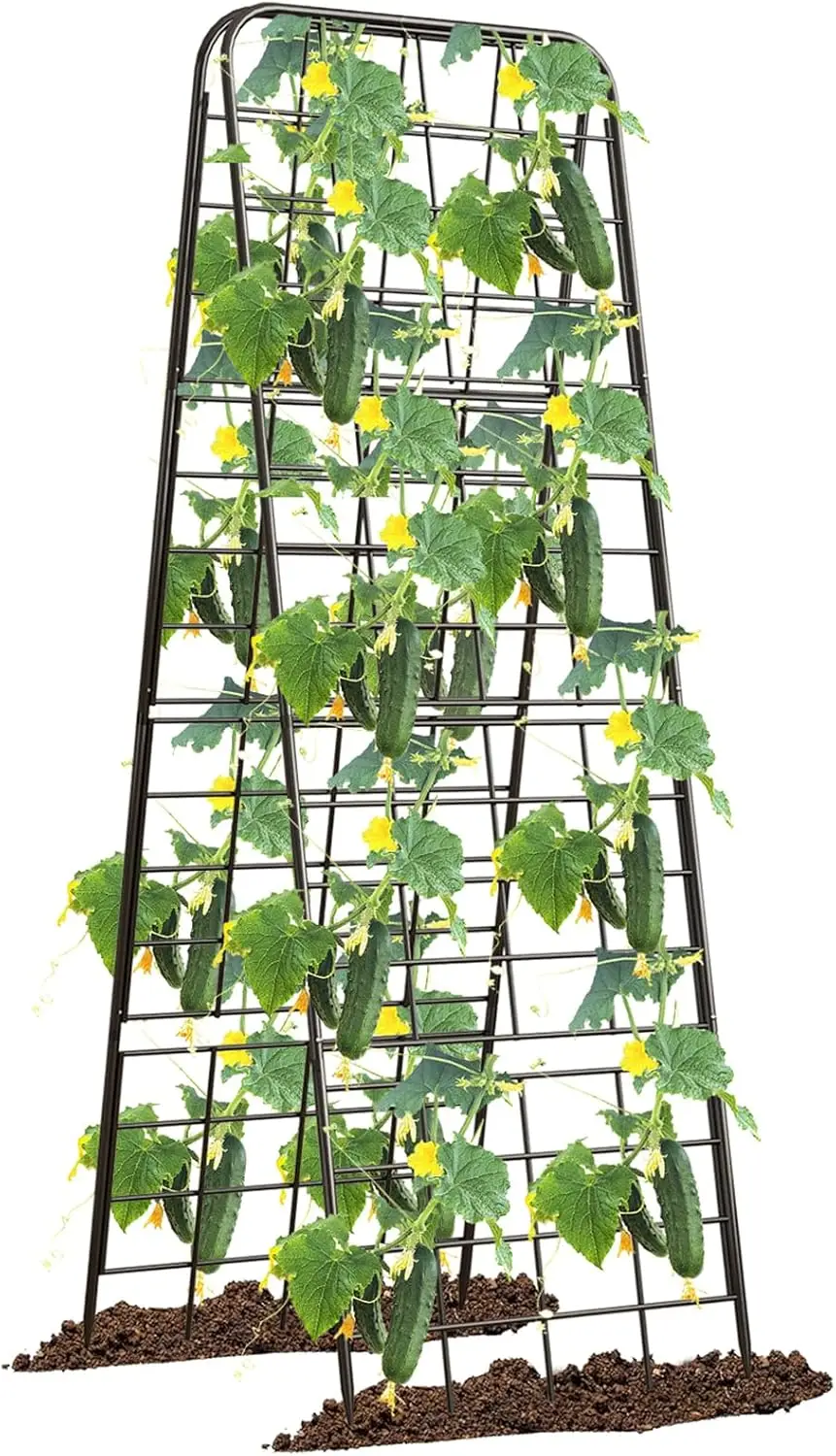 50"x17" Adjustable A-Frame Trellis for Climbing Plants, Rust-Proof Metal Garden Support for Tomatoes & Vines
50"x17" Adjustable A-Frame Trellis for Climbing Plants, Rust-Proof Metal Garden Support for Tomatoes & Vines