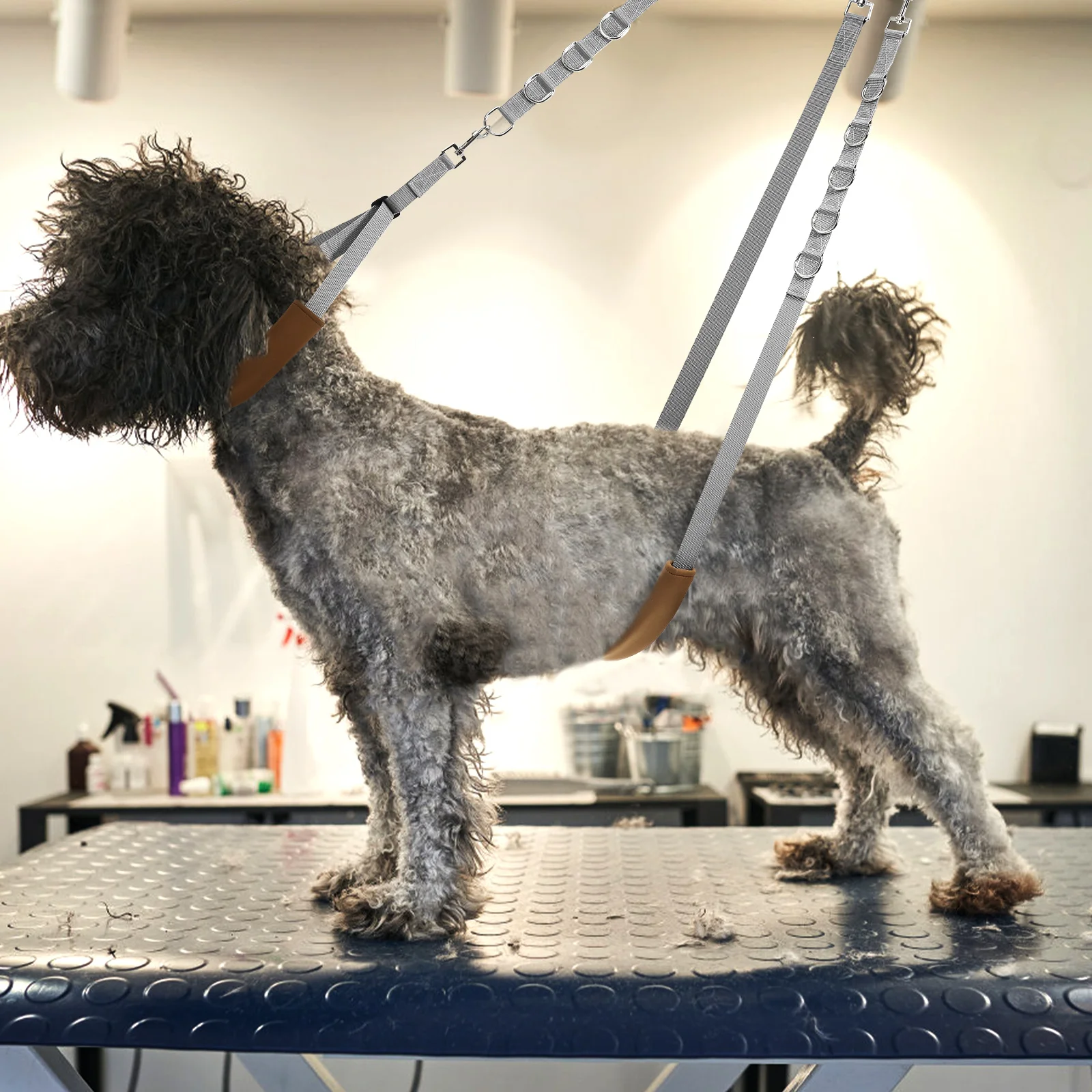 Pet Grooming Kit Dog Harness Strap Rope Comb Extender Adjustable Straps Nylon Harnesses Supplies Baby
Pet Grooming Kit Dog Harness Strap Rope Comb Extender Adjustable Straps Nylon Harnesses Supplies Baby