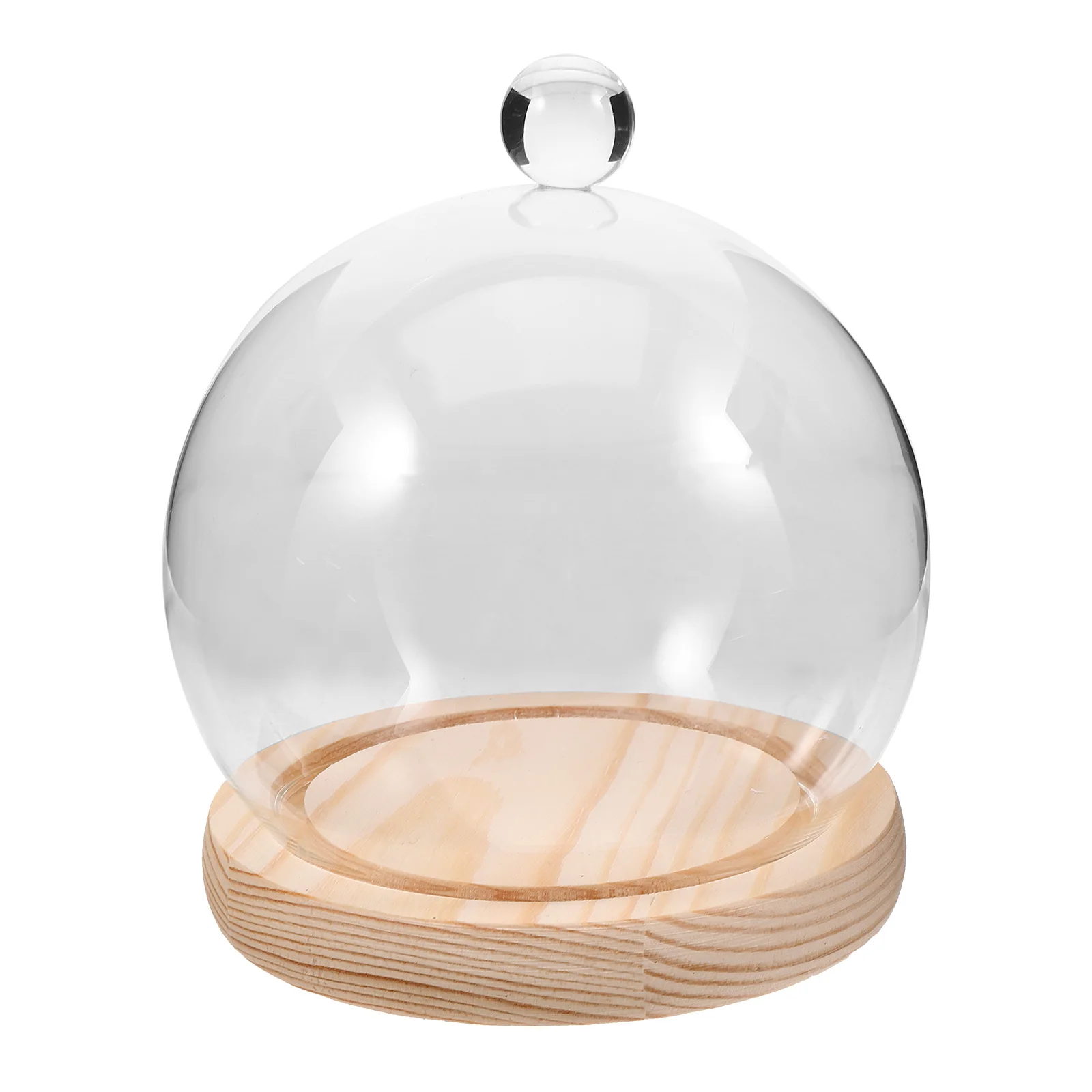 1Set Glass Dome Display Case with Wood Base for Preserved Flower Decor and Miniature Plant Protection Glass Dome
1Set Glass Dome Display Case with Wood Base for Preserved Flower Decor and Miniature Plant Protection Glass Dome