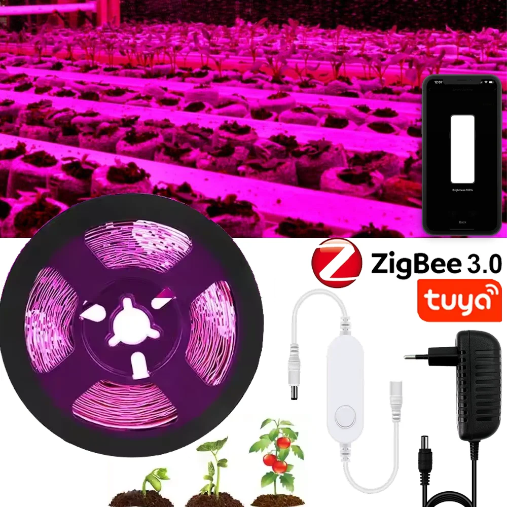 ZIGBEE 3,0 умная светодиодная лента для выращивания растений, полный спектр, 5 м, 300 светодиодов, полоса для тепличных растений, светильник для роста семян, гидропонные растения, цветок
ZIGBEE 3,0 умная светодиодная лента для выращивания растений, полный спектр, 5 м, 300 светодиодов, полоса для тепличных растений, светильник для роста семян, гидропонные растения, цветок