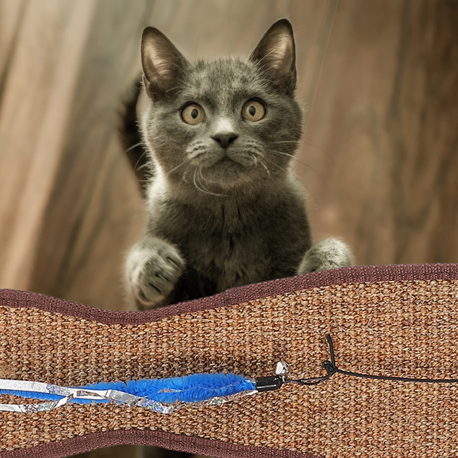 1Pcs Cat Scratching Pad Fish Shaped Sisal Protective Hanging Pad Scratch Resistant Furniture Cover Claw Grinding
1Pcs Cat Scratching Pad Fish Shaped Sisal Protective Hanging Pad Scratch Resistant Furniture Cover Claw Grinding