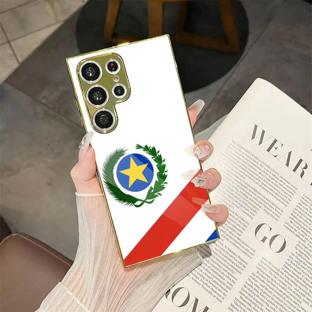 Paraguay Flag Phone Case For Samsung Galaxy S25 S24 S23 Ultra Electroplated Metal Case Glass Back Cover
Paraguay Flag Phone Case For Samsung Galaxy S25 S24 S23 Ultra Electroplated Metal Case Glass Back Cover