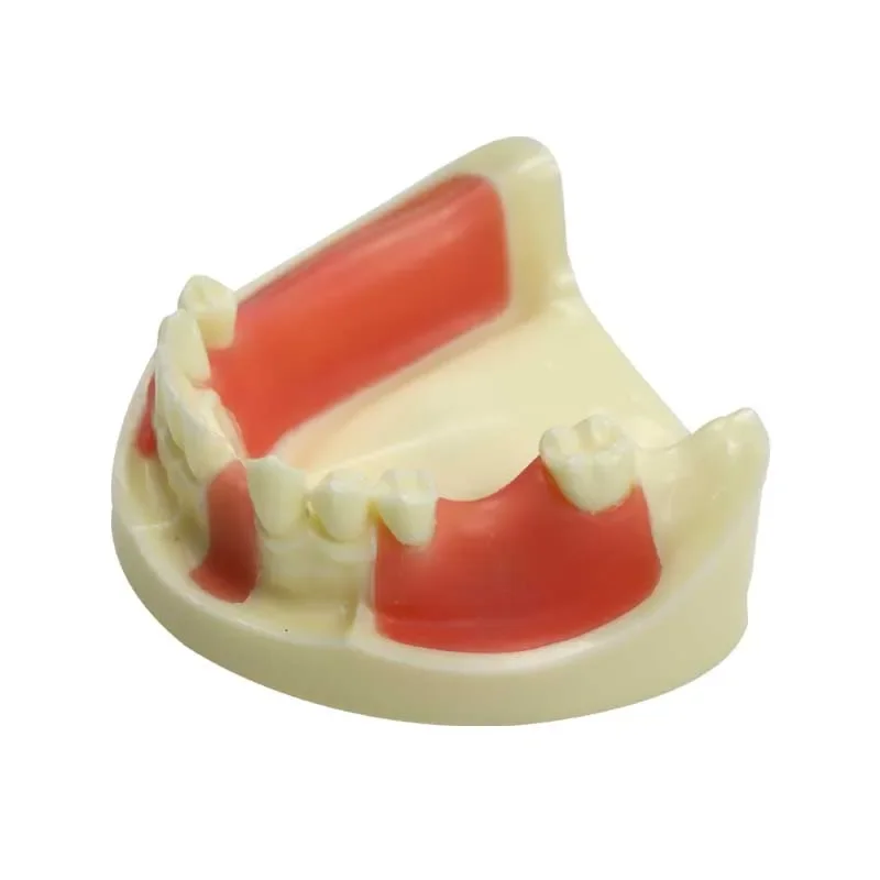 GREATLH Dental Teeth Model Lower Jaw Model Gingiva with Missing Teeth Dentist Student Study Teeth Model
GREATLH Dental Teeth Model Lower Jaw Model Gingiva with Missing Teeth Dentist Student Study Teeth Model