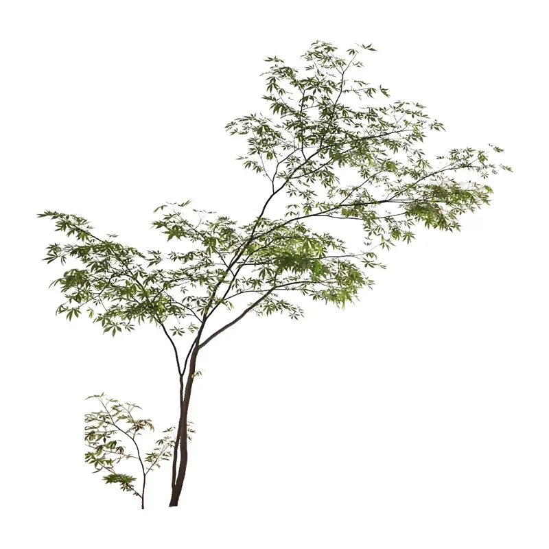 Simulation Green Plant Indoor Living Room Large Bionic Plant Acer Palmatum Floor Bonsai Decoration Bonsai Decoration plant
Simulation Green Plant Indoor Living Room Large Bionic Plant Acer Palmatum Floor Bonsai Decoration Bonsai Decoration plant