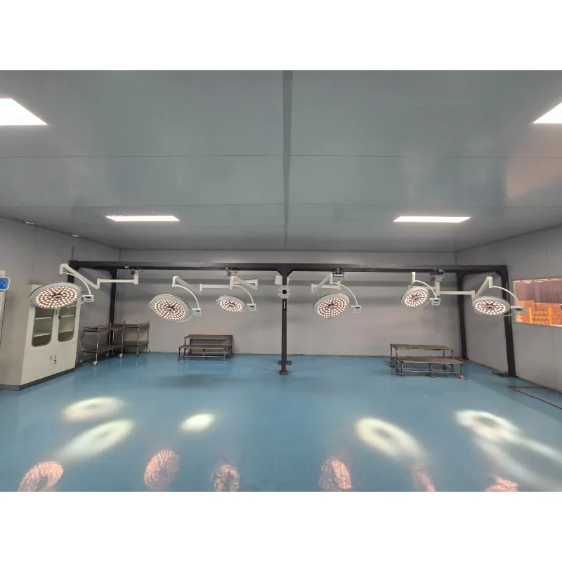 High Lumen Dual Dome Shadowless Operating Light 700+500 LED Medical Surgery Lamp Equipment
High Lumen Dual Dome Shadowless Operating Light 700+500 LED Medical Surgery Lamp Equipment