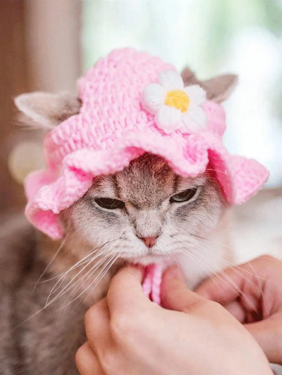 1pc Knitted Soft And Comfortable Pet Hat, Flower Maid Costume Headwear
1pc Knitted Soft And Comfortable Pet Hat, Flower Maid Costume Headwear