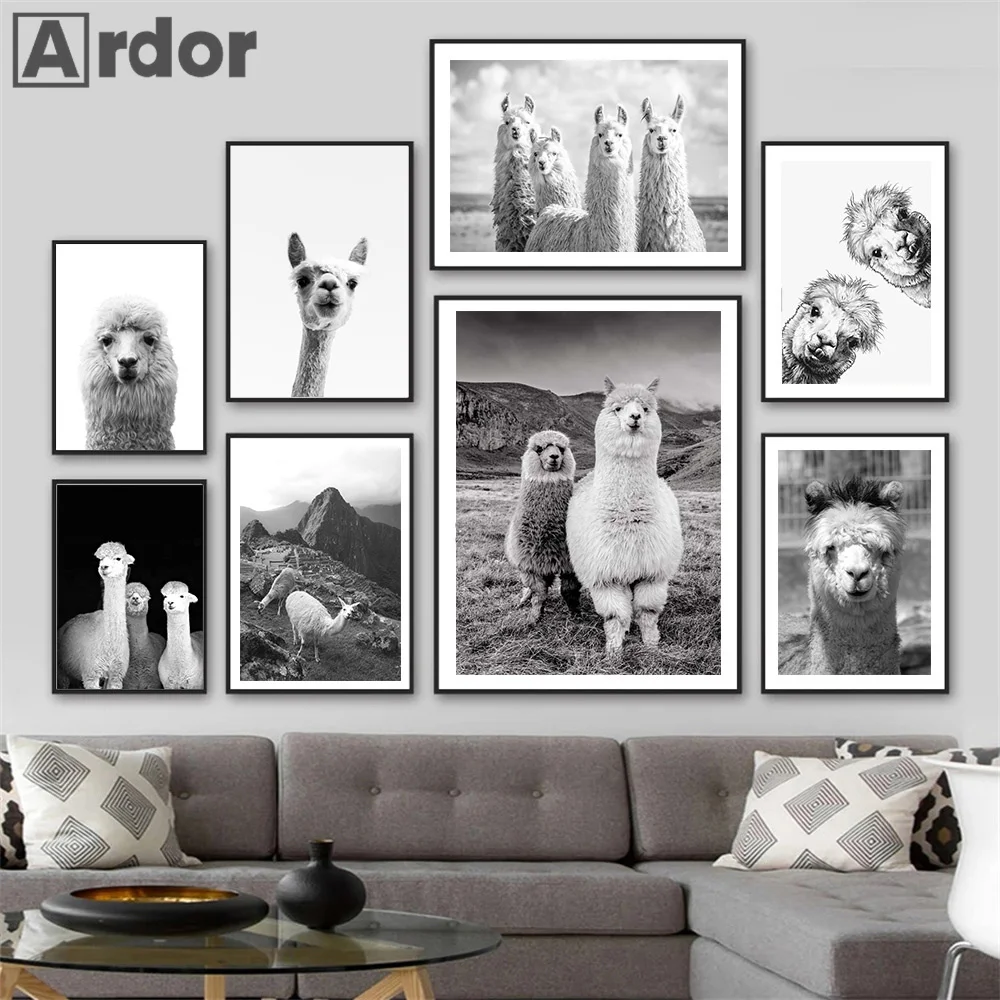 Black And White Llama Animal Canvas Painting Alpaca Prints Nursery Wall Art Poster Nordic Kids Pictures Living Room Home Decor
Black And White Llama Animal Canvas Painting Alpaca Prints Nursery Wall Art Poster Nordic Kids Pictures Living Room Home Decor
