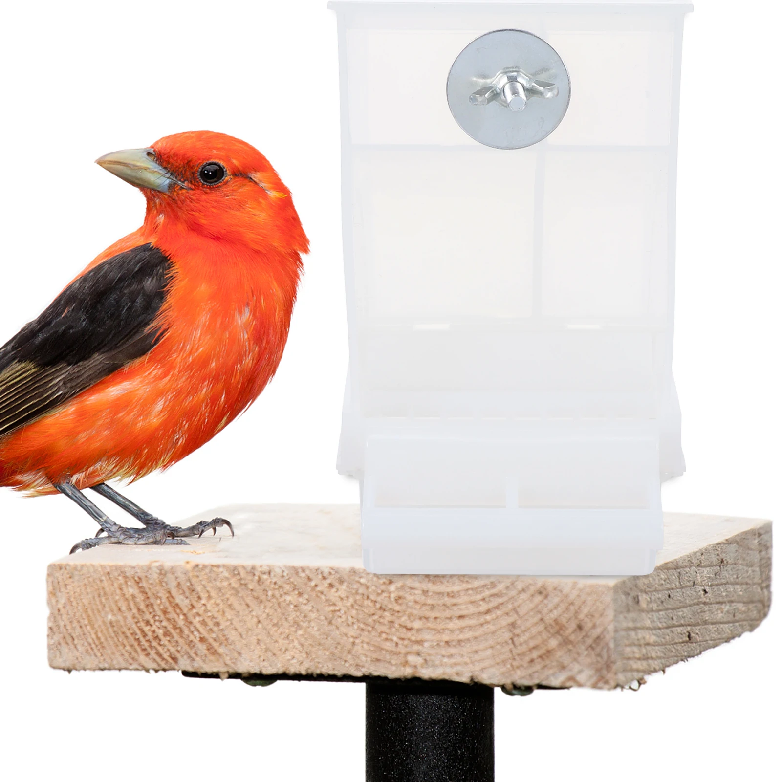 2pcs Automatic Bird Feeder 270g Acrylic Anti Spill Parrot Food Container Outdoor Indoor Hanging Garden Balcony Pet Accessories
2pcs Automatic Bird Feeder 270g Acrylic Anti Spill Parrot Food Container Outdoor Indoor Hanging Garden Balcony Pet Accessories
