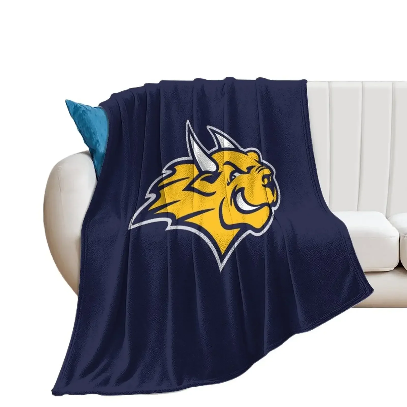 Webster University Throw Blanket Sleeping Bag Custom Luxury Brand Furrys Blankets
Webster University Throw Blanket Sleeping Bag Custom Luxury Brand Furrys Blankets