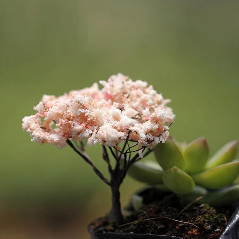 AS94-Micro-Landscape Artificial Trees Succulent Decorations Moss Landscaping Decorations Accessories And Small Ornaments
AS94-Micro-Landscape Artificial Trees Succulent Decorations Moss Landscaping Decorations Accessories And Small Ornaments