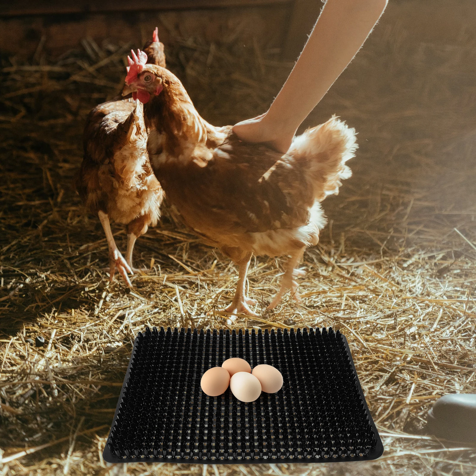 24PCS Chicken Laying Mat Waterproof Wear Resistant PP Material Black Eggs Holding Cushion Double Sided Chicken
24PCS Chicken Laying Mat Waterproof Wear Resistant PP Material Black Eggs Holding Cushion Double Sided Chicken