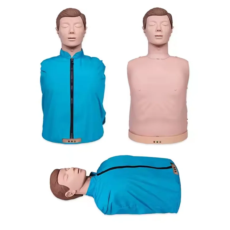 Cardiopulmonary Resuscitation Simulates Human Half Heart Training Resuscitation Artificial Respiration Dummy Teaching
Cardiopulmonary Resuscitation Simulates Human Half Heart Training Resuscitation Artificial Respiration Dummy Teaching