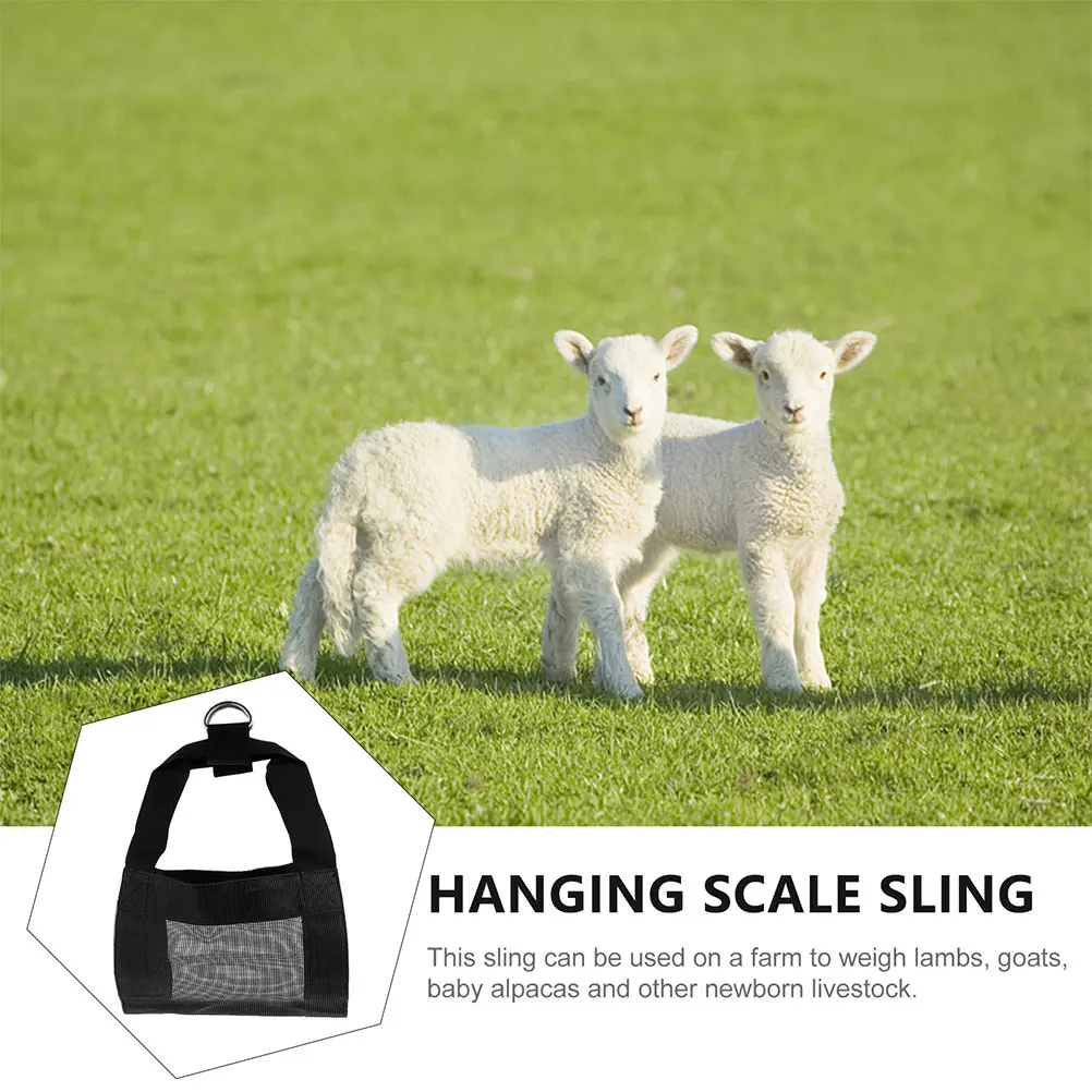 2 Pcs Livestock Hanging Scale Animal Weighing Sling for Dogs Strap Puppy Harness Small
2 Pcs Livestock Hanging Scale Animal Weighing Sling for Dogs Strap Puppy Harness Small