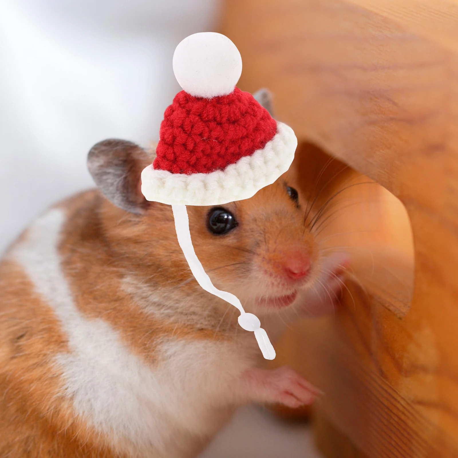 Miniature Pet Hat Knitted for Hamster Small Animal Costume Lightweight Skin-Friendly Material Ideal for Easter Halloween Party
Miniature Pet Hat Knitted for Hamster Small Animal Costume Lightweight Skin-Friendly Material Ideal for Easter Halloween Party