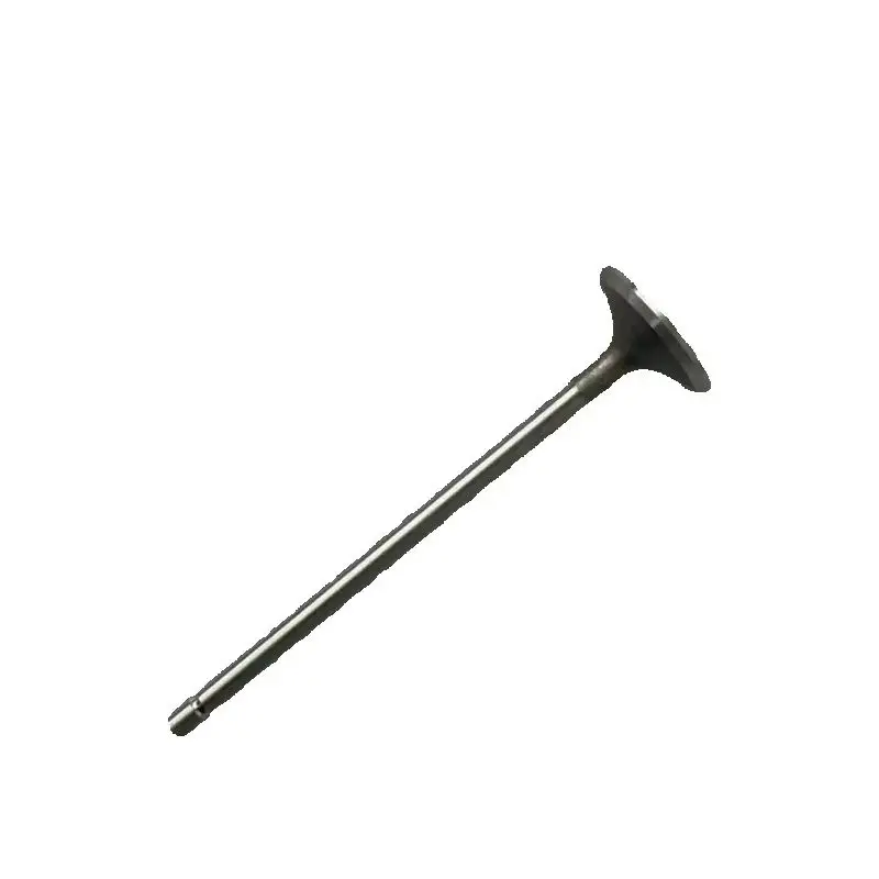 Original Exhaust Valve For Korando C 1720500127 High Quality
Original Exhaust Valve For Korando C 1720500127 High Quality