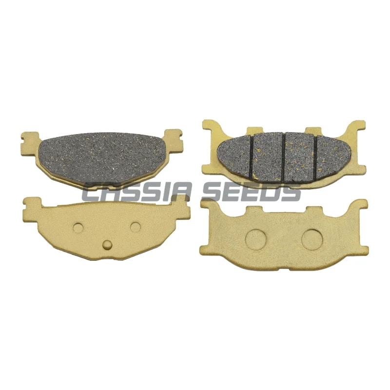 Motorcycle front and rear brake pads disc brake pads for Yamaha CP 250 (EB71) Maxam/Morphus 2005-2008
Motorcycle front and rear brake pads disc brake pads for Yamaha CP 250 (EB71) Maxam/Morphus 2005-2008