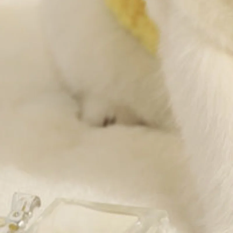 Милый плюшевый жилет для собак и кроликов, зимняя теплая одежда для маленьких собак, жилетки для щенков, куртки для собак
Милый плюшевый жилет для собак и кроликов, зимняя теплая одежда для маленьких собак, жилетки для щенков, куртки для собак