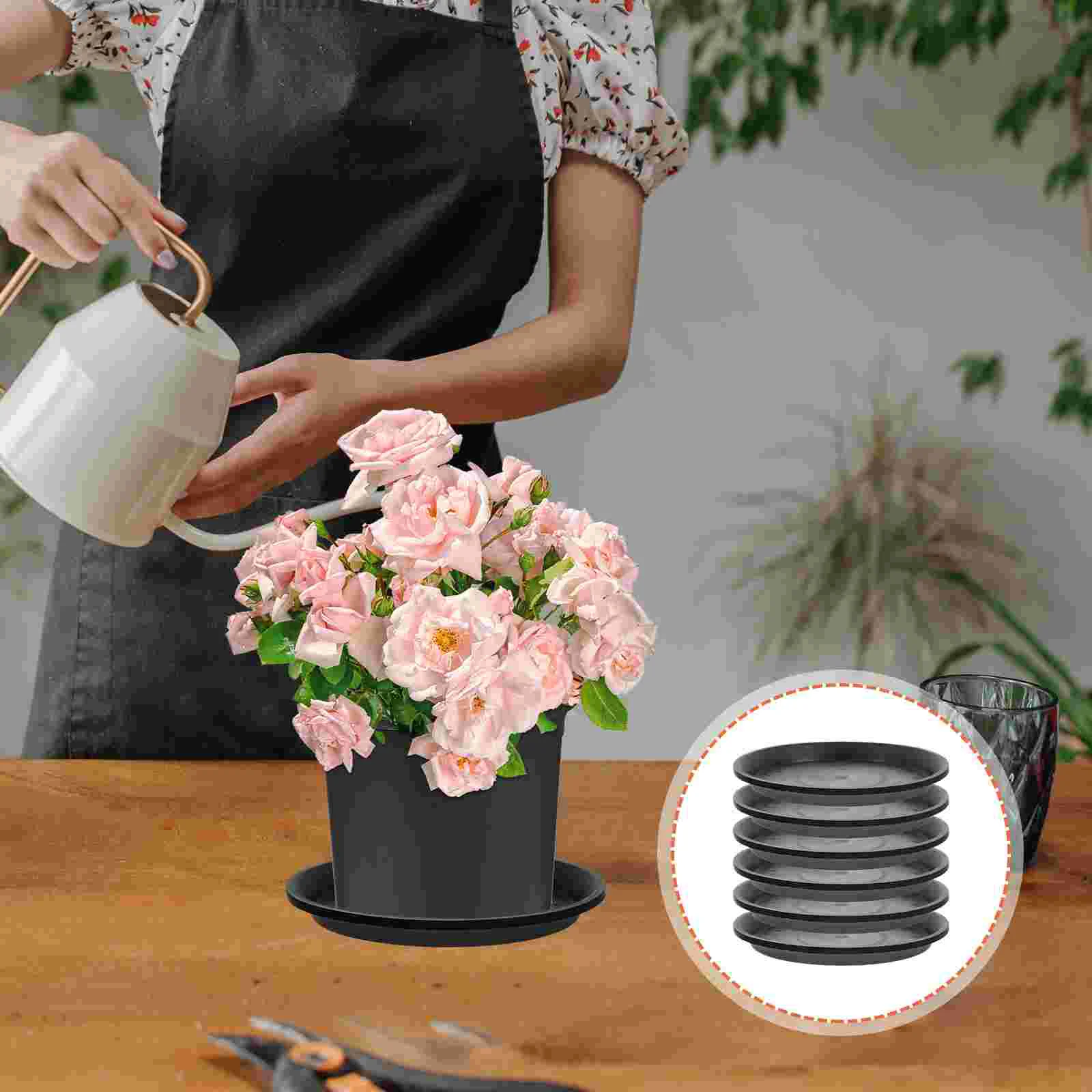10 Pcs Plant Drip Tray Flowerpot Water Plates PP Bases Saucer Holder Bonsai Trays
10 Pcs Plant Drip Tray Flowerpot Water Plates PP Bases Saucer Holder Bonsai Trays