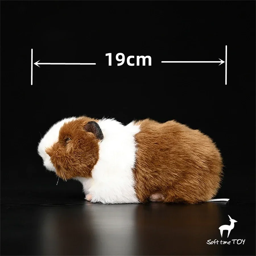 Realistic Hamster Plushie Guinea Pig Plush Toy Lifelike Cavy Stuffed Animal Mouse Simulation Doll Gift Collectors
Realistic Hamster Plushie Guinea Pig Plush Toy Lifelike Cavy Stuffed Animal Mouse Simulation Doll Gift Collectors