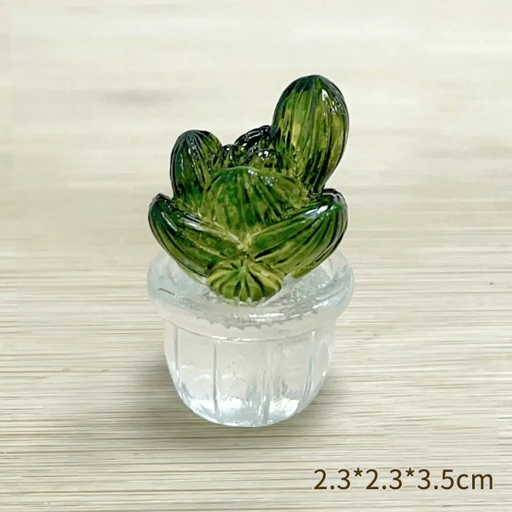 Cartoon Cactus Bonsai Decor Resin Crafts Transparent Fleshy Mini Cactus Figurines Realistic Simulated Cactus Desktop Ornament
Cartoon Cactus Bonsai Decor Resin Crafts Transparent Fleshy Mini Cactus Figurines Realistic Simulated Cactus Desktop Ornament