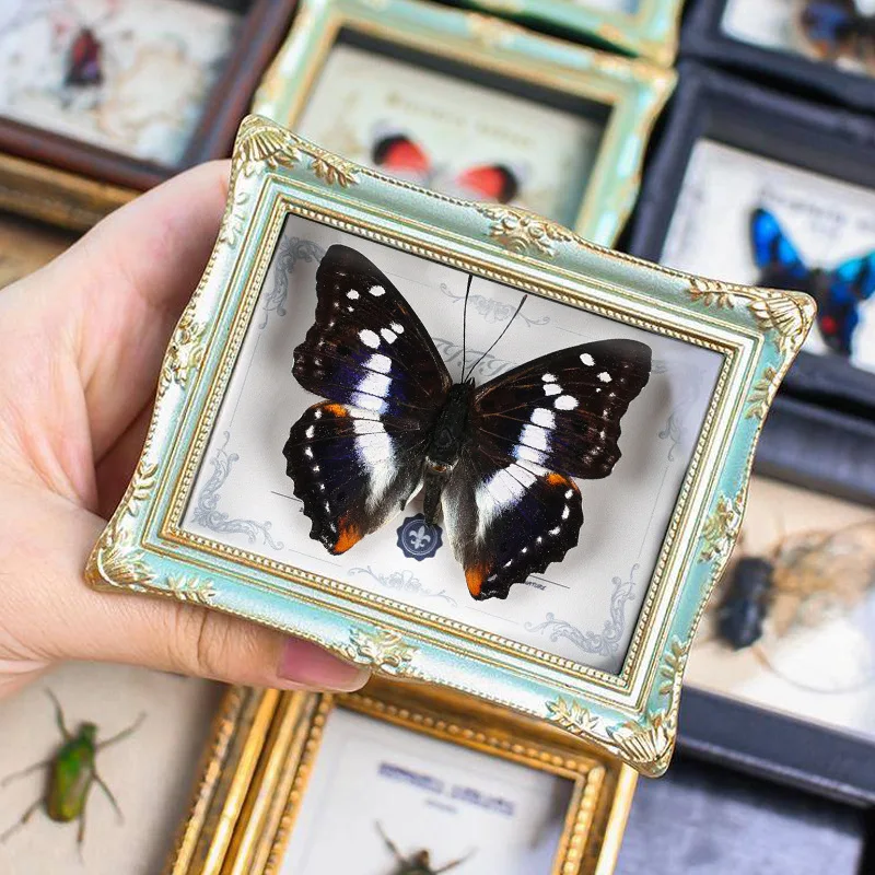 Natural insect butterfly finished photo frame, refrigerator sticker, home ornament, birthday gift for friends and girlfriends
Natural insect butterfly finished photo frame, refrigerator sticker, home ornament, birthday gift for friends and girlfriends