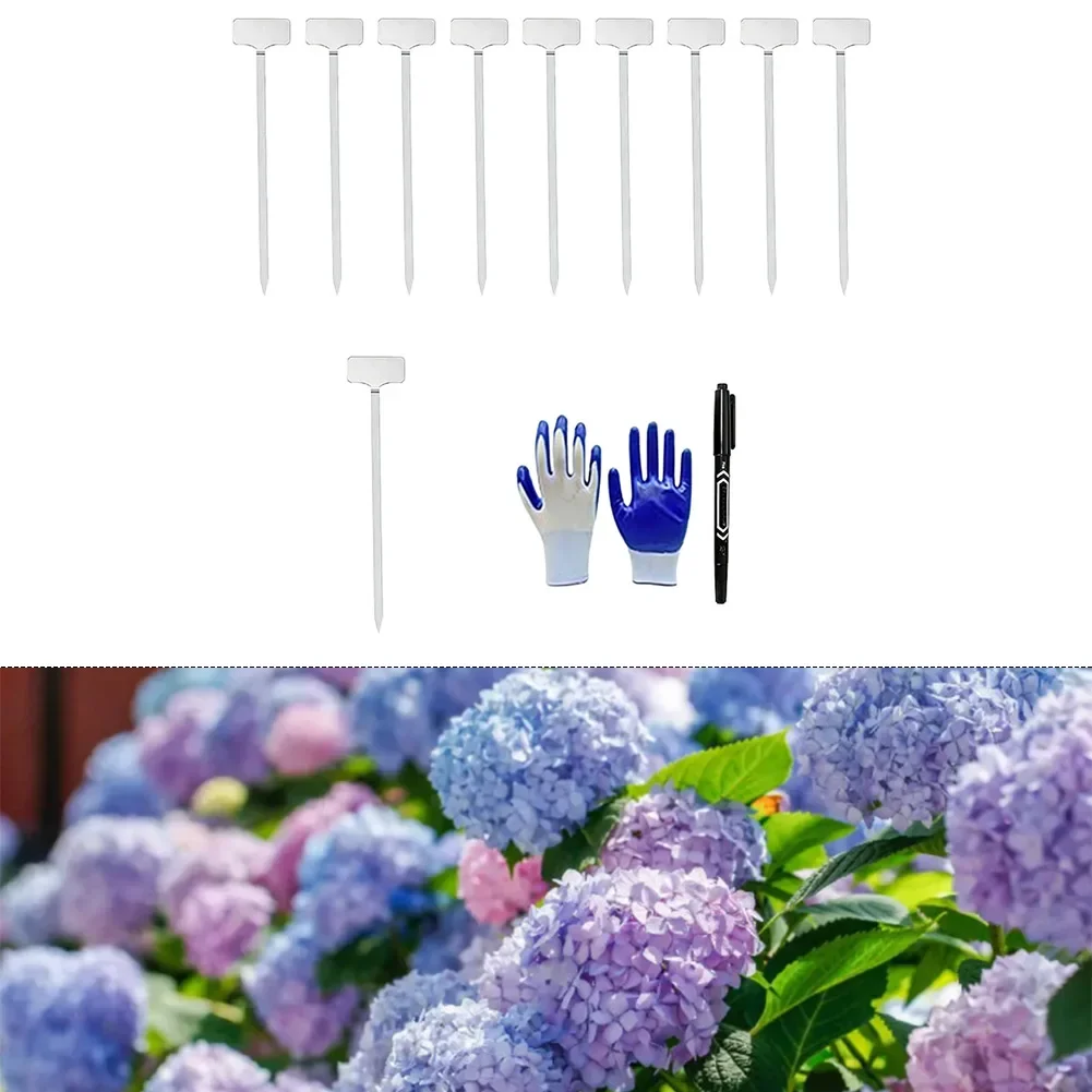 201 Stainless Steel Plant Labels 7.87 Inch Garden Markers With Plastic Stakes For Flower Vegetable Herb Identification Tools
201 Stainless Steel Plant Labels 7.87 Inch Garden Markers With Plastic Stakes For Flower Vegetable Herb Identification Tools