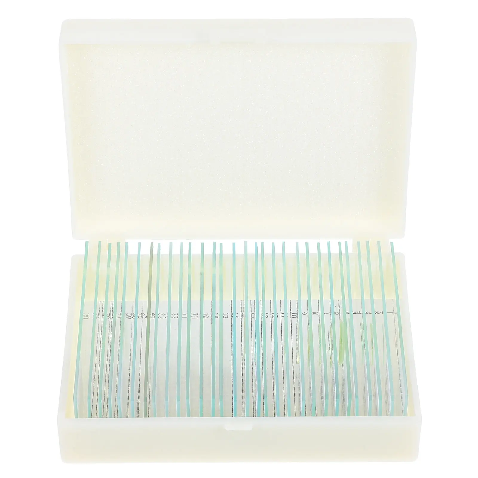 30Pcs Prepared Microscope Slides Optical Glass sample Diverse Cellular Structures Professional Lab Education
30Pcs Prepared Microscope Slides Optical Glass sample Diverse Cellular Structures Professional Lab Education