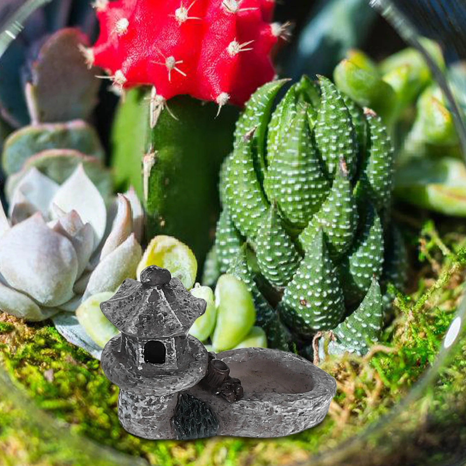 9 PCS Mini Landscape Pool Resin Figurines for Dollhouse Decor Terrarium Landscaping Garden Decoration Statue Outdoor Use
9 PCS Mini Landscape Pool Resin Figurines for Dollhouse Decor Terrarium Landscaping Garden Decoration Statue Outdoor Use