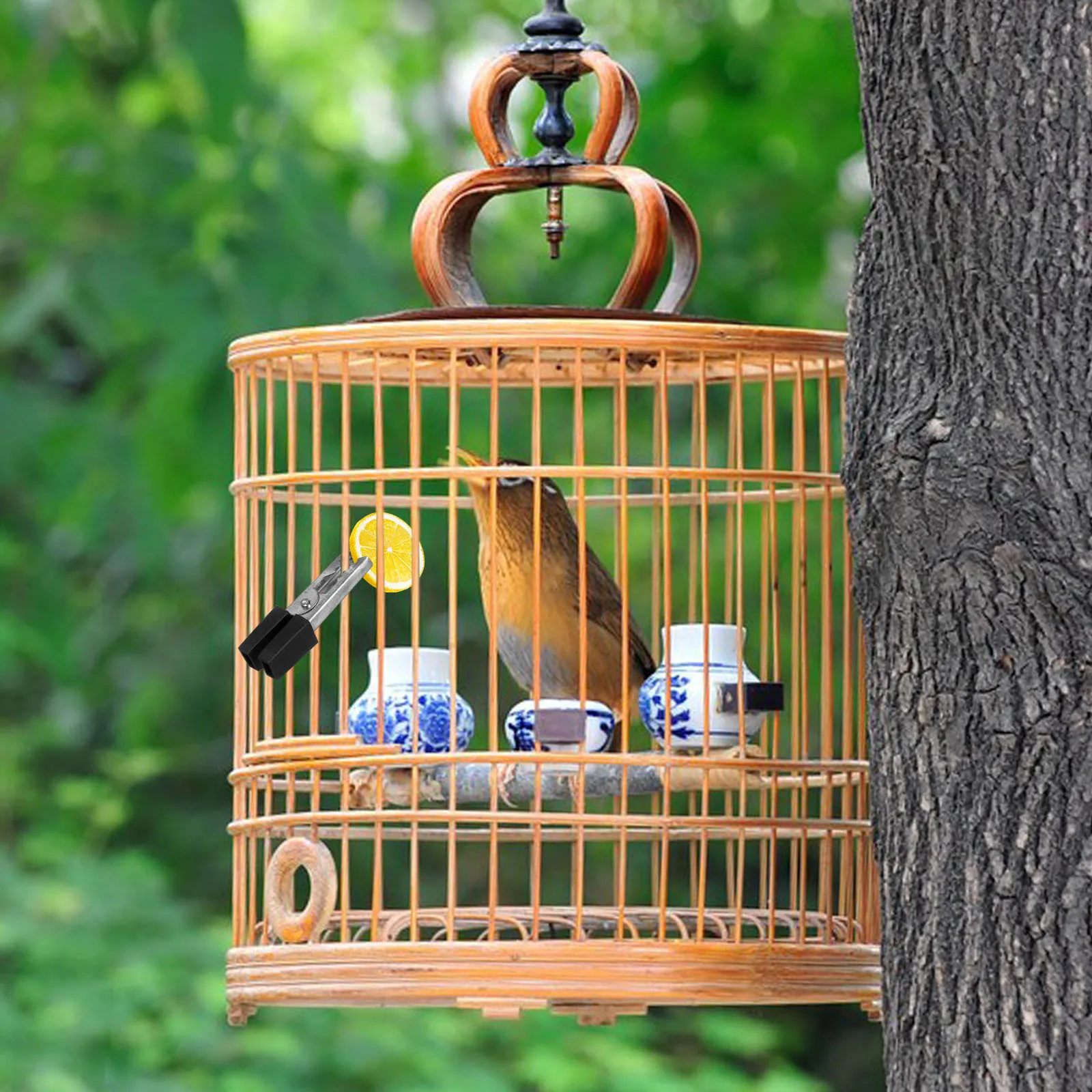 20Pcs Parrot Cage Door Clip Antiescape Accessory Excellent Process Rust Resistant Bird Cage Clip Bird Anti-Escape Accessory
20Pcs Parrot Cage Door Clip Antiescape Accessory Excellent Process Rust Resistant Bird Cage Clip Bird Anti-Escape Accessory