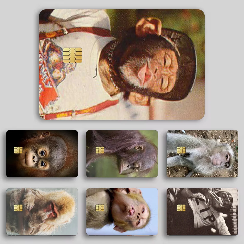 monkey funny Stickers Cartoon Decorative Small Waterproof Chip 4PCS Card Sticker New Anti-Scratch
monkey funny Stickers Cartoon Decorative Small Waterproof Chip 4PCS Card Sticker New Anti-Scratch