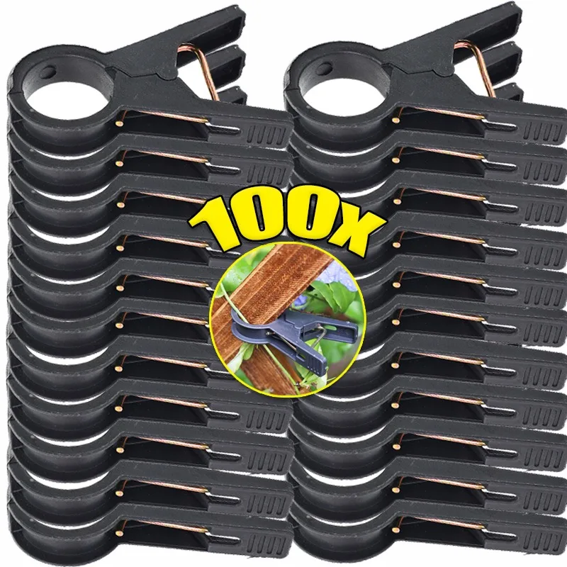 100/10pcs Plant Support Clips Reusable Garden Bracket for Tomato Cucumber Climbing Tool Plants Vine Branch Support Clip Supplies
100/10pcs Plant Support Clips Reusable Garden Bracket for Tomato Cucumber Climbing Tool Plants Vine Branch Support Clip Supplies
