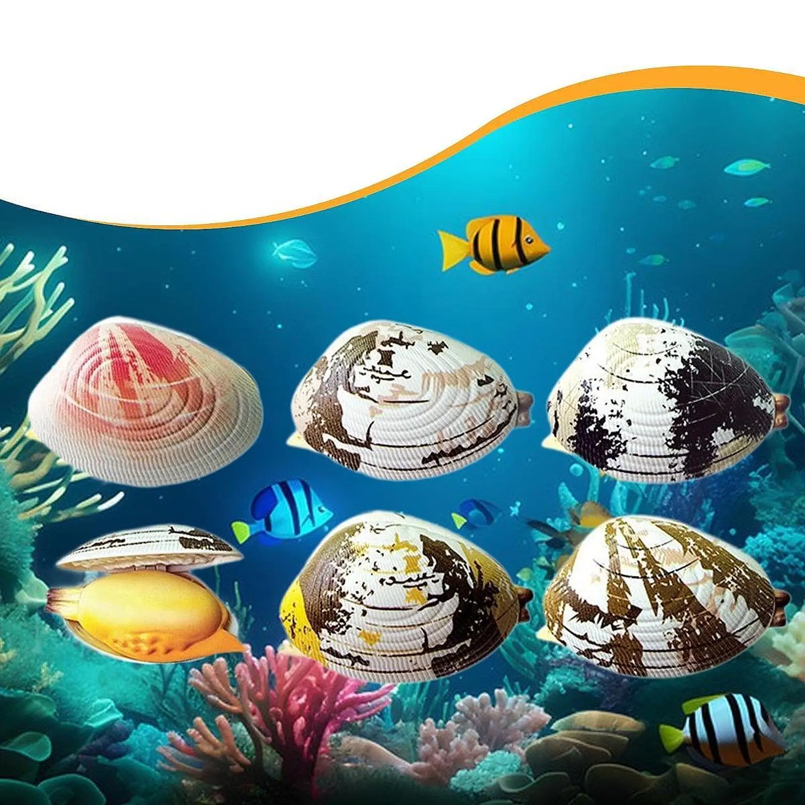 6Pcs Simulation Small Clams Water Spray Toy Toys for Garden Yard
6Pcs Simulation Small Clams Water Spray Toy Toys for Garden Yard