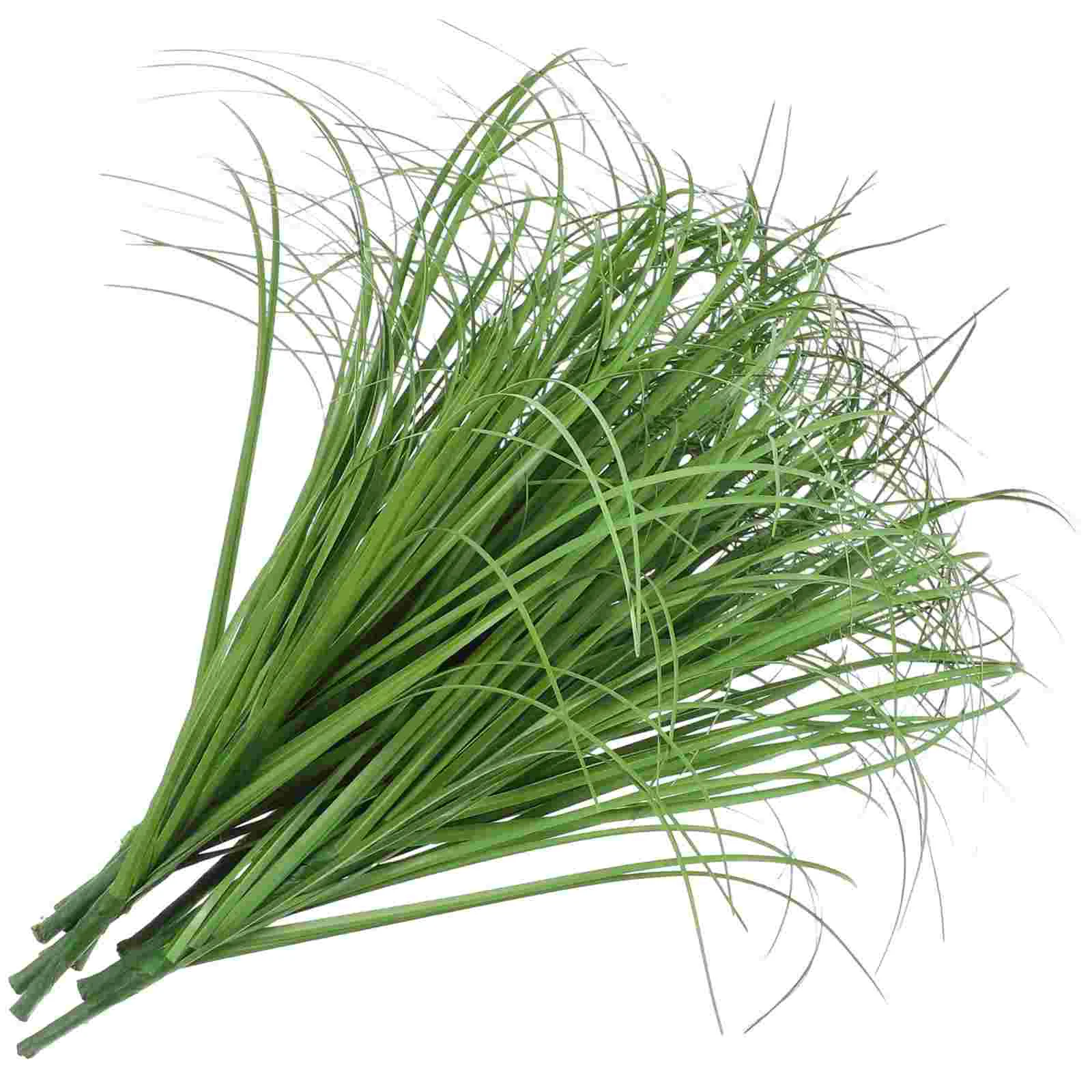 12 Pcs Artificial Green Stem Fake Outdoors Decor Plants outside Grass Faux Model Lifelike Decorations Toys Solar Light
12 Pcs Artificial Green Stem Fake Outdoors Decor Plants outside Grass Faux Model Lifelike Decorations Toys Solar Light