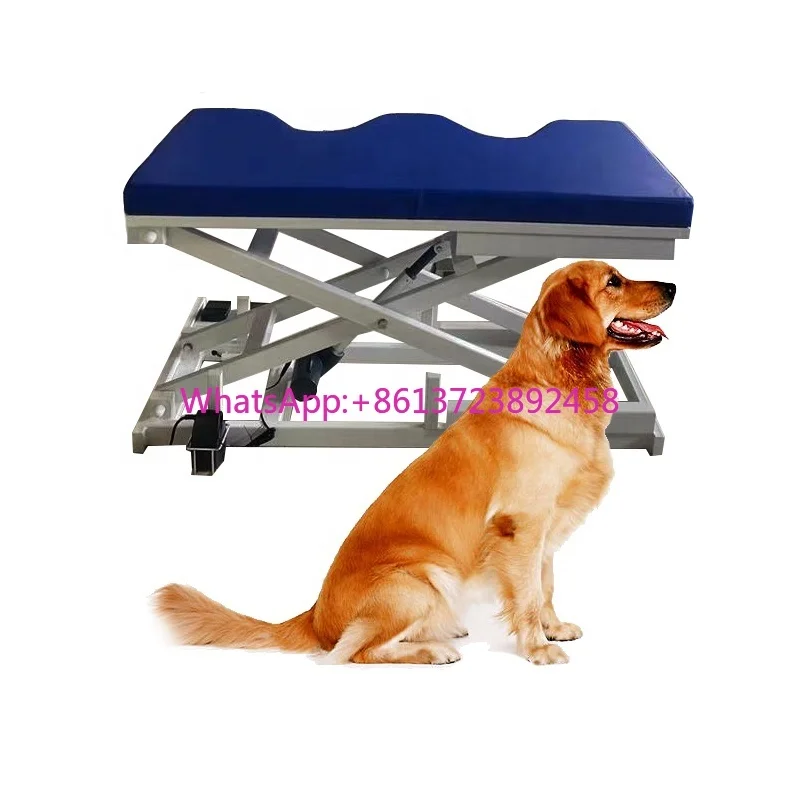 dog Ultrasound Table wholesale Electric lift Veterinary clinic pet dog Ultrasound Table examination instrument factory new style
dog Ultrasound Table wholesale Electric lift Veterinary clinic pet dog Ultrasound Table examination instrument factory new style