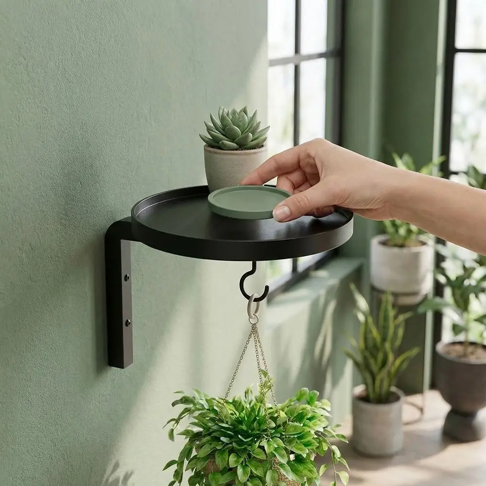 Carbon Steel Plant Display Stand Raised Tray Edge with Hook Planter Storage Shelf Wall-Mounted Space Saving
Carbon Steel Plant Display Stand Raised Tray Edge with Hook Planter Storage Shelf Wall-Mounted Space Saving