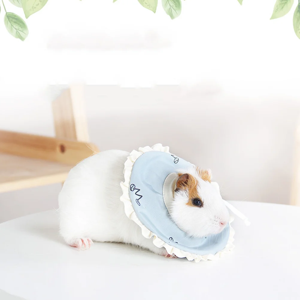 1pc Pet Protection Small Size Washable Anti-Lick Anti-Bite Anti-Scratch Scarf For Cats Dogs
1pc Pet Protection Small Size Washable Anti-Lick Anti-Bite Anti-Scratch Scarf For Cats Dogs