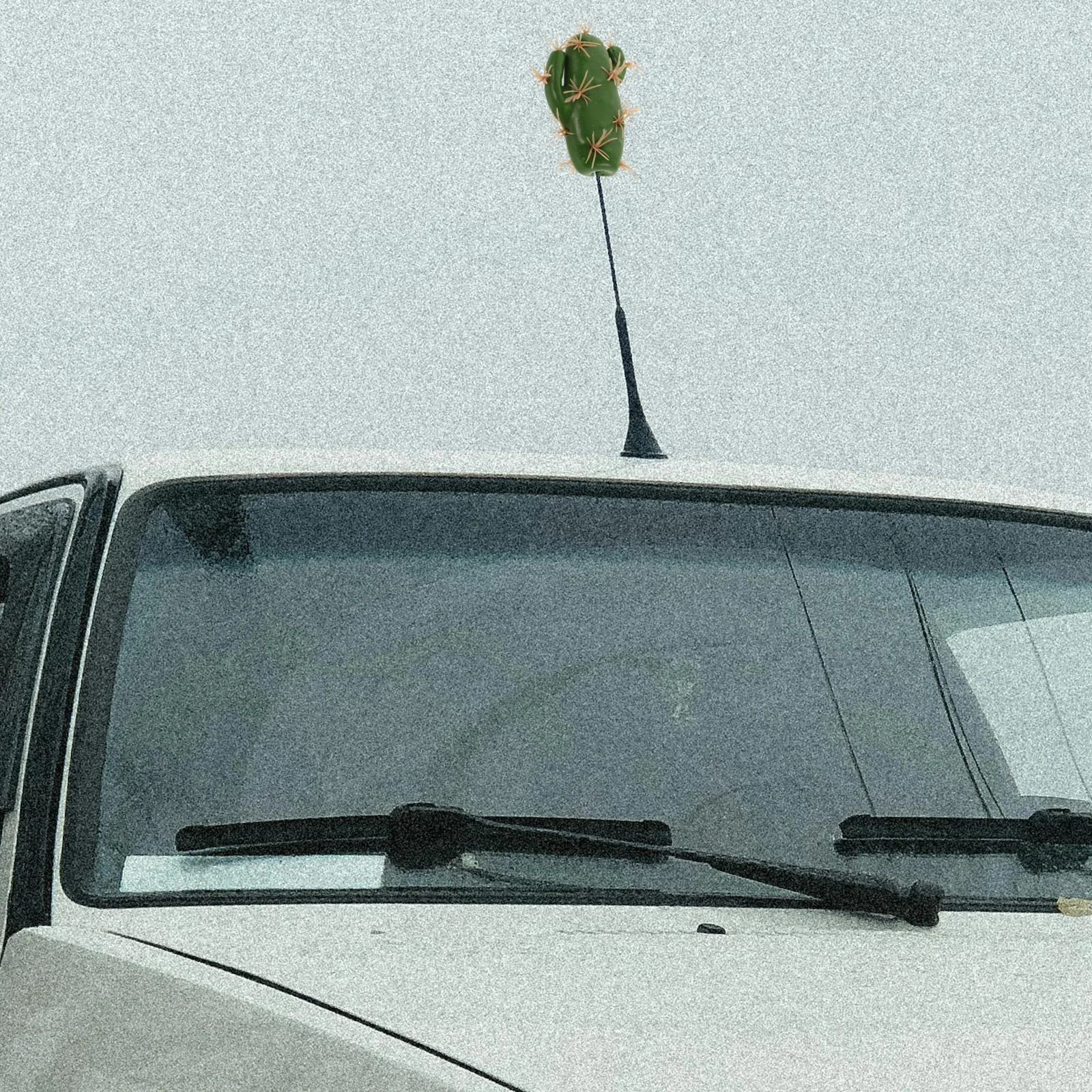 Weatherproof Plastic Cartoon Cactus Car Antenna Topper Cute Auto Antenna Accessory Vehicle Roof Decoration Unique Design
Weatherproof Plastic Cartoon Cactus Car Antenna Topper Cute Auto Antenna Accessory Vehicle Roof Decoration Unique Design