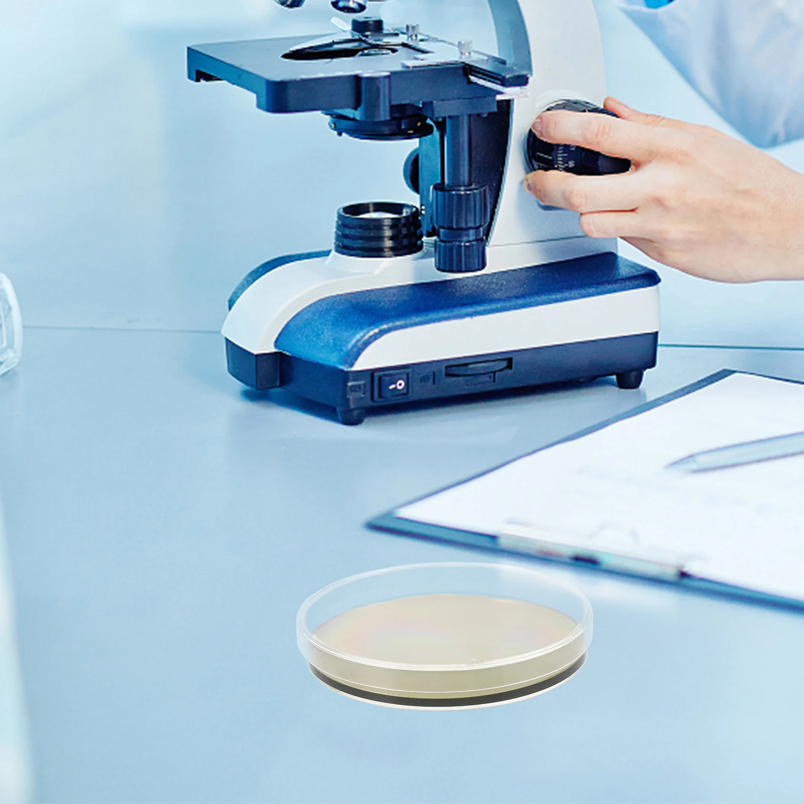 10 шт. набор для испытания на Agar, портативные тарелки, готовый продукт, экспериментальные принадлежности, предварительно подержанные чашки Петри, пластик с лабораторией
10 шт. набор для испытания на Agar, портативные тарелки, готовый продукт, экспериментальные принадлежности, предварительно подержанные чашки Петри, пластик с лабораторией