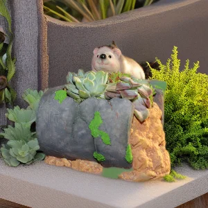Resin Animal Succulent Planter Pot Creative Garden Balcony Decor Pastoral Style Flower Pot Ornament For Yard Courtyard
Resin Animal Succulent Planter Pot Creative Garden Balcony Decor Pastoral Style Flower Pot Ornament For Yard Courtyard