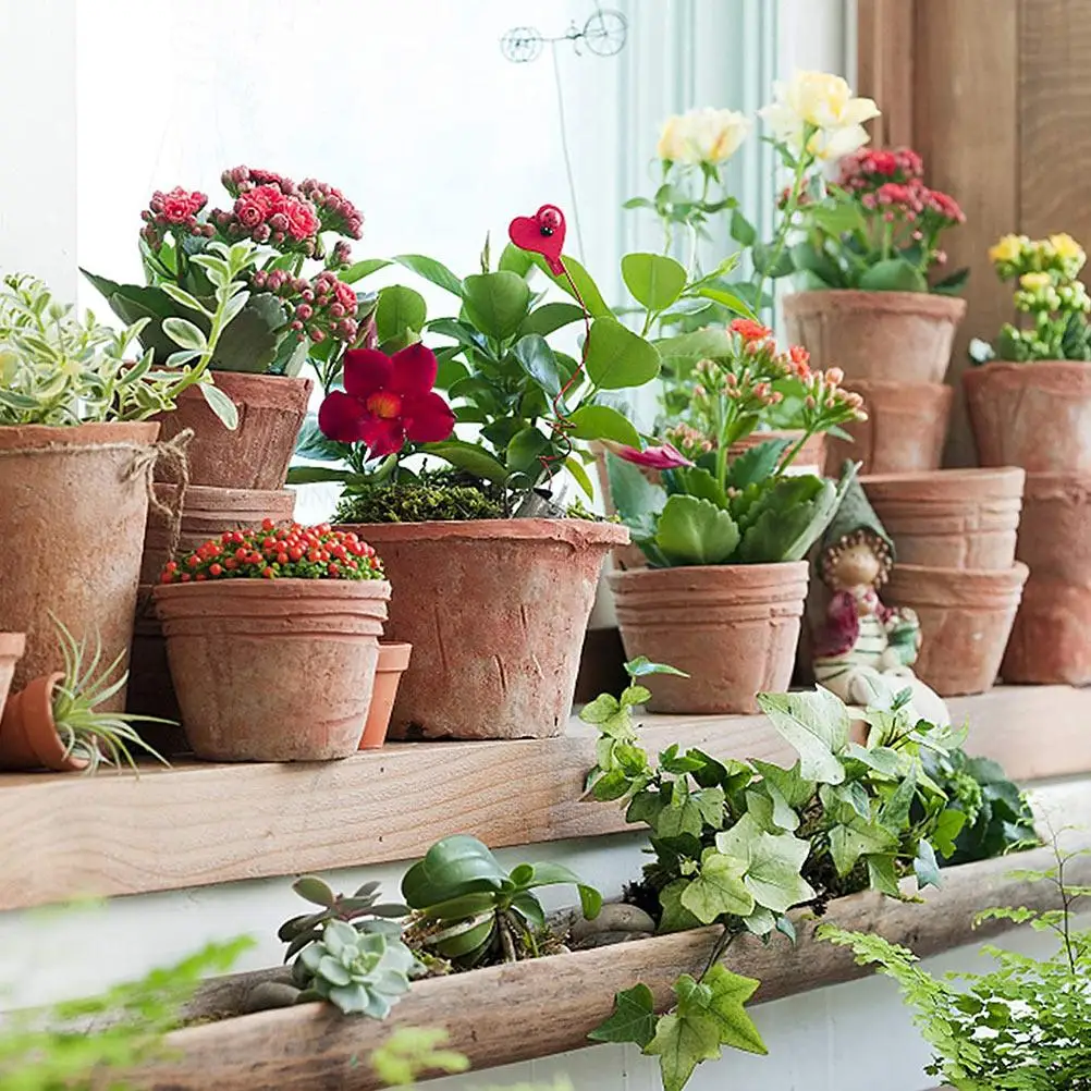 Flowerpot Bottom Grid Mats Mesh Pads Drainage Screens Reusable Durable Polyamide Prevent Soil Loss Improve Ventilation Gardening
Flowerpot Bottom Grid Mats Mesh Pads Drainage Screens Reusable Durable Polyamide Prevent Soil Loss Improve Ventilation Gardening