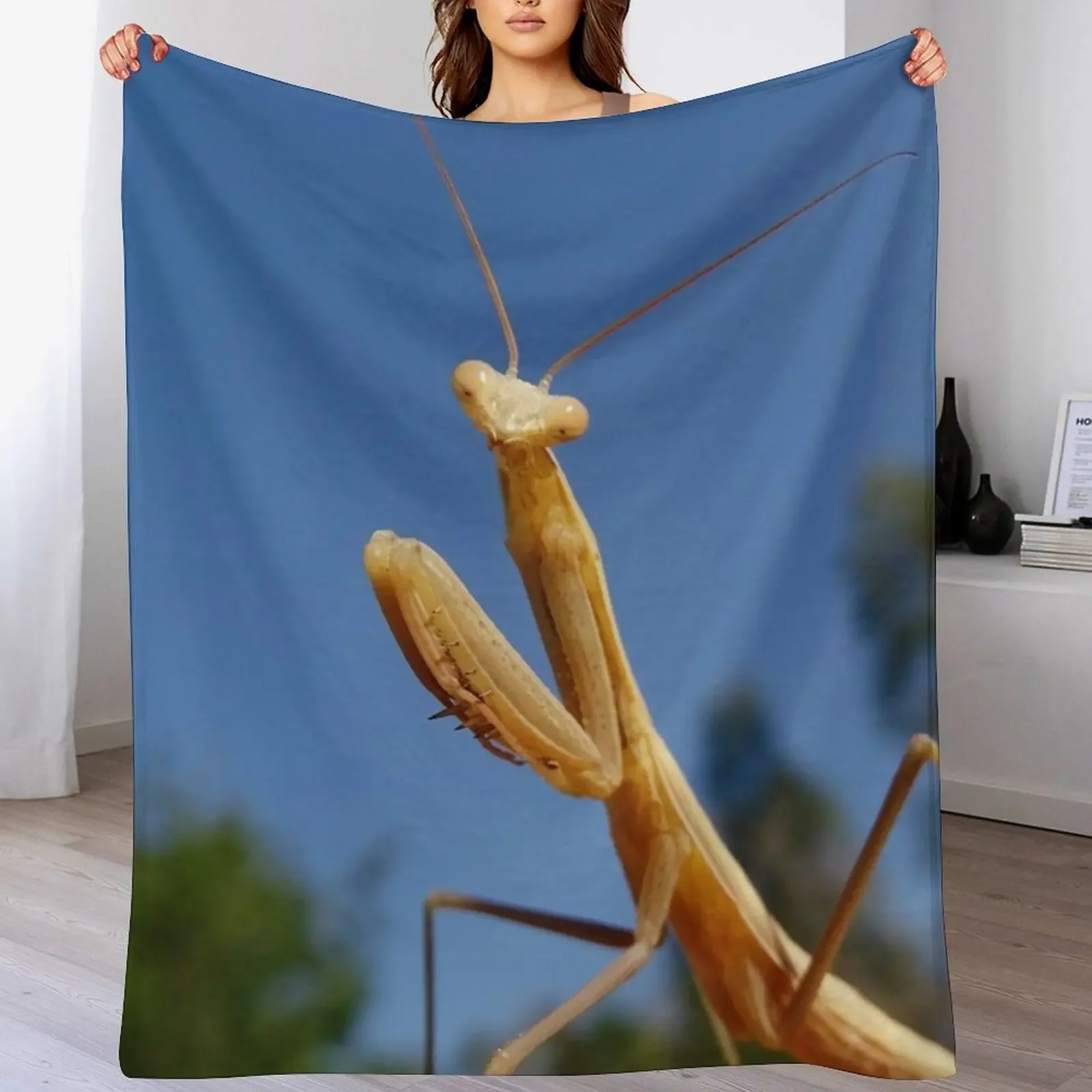 Praying mantis Throw Blanket Soft Plush Plaid Picnic halloween Decorative Beds Blankets
Praying mantis Throw Blanket Soft Plush Plaid Picnic halloween Decorative Beds Blankets