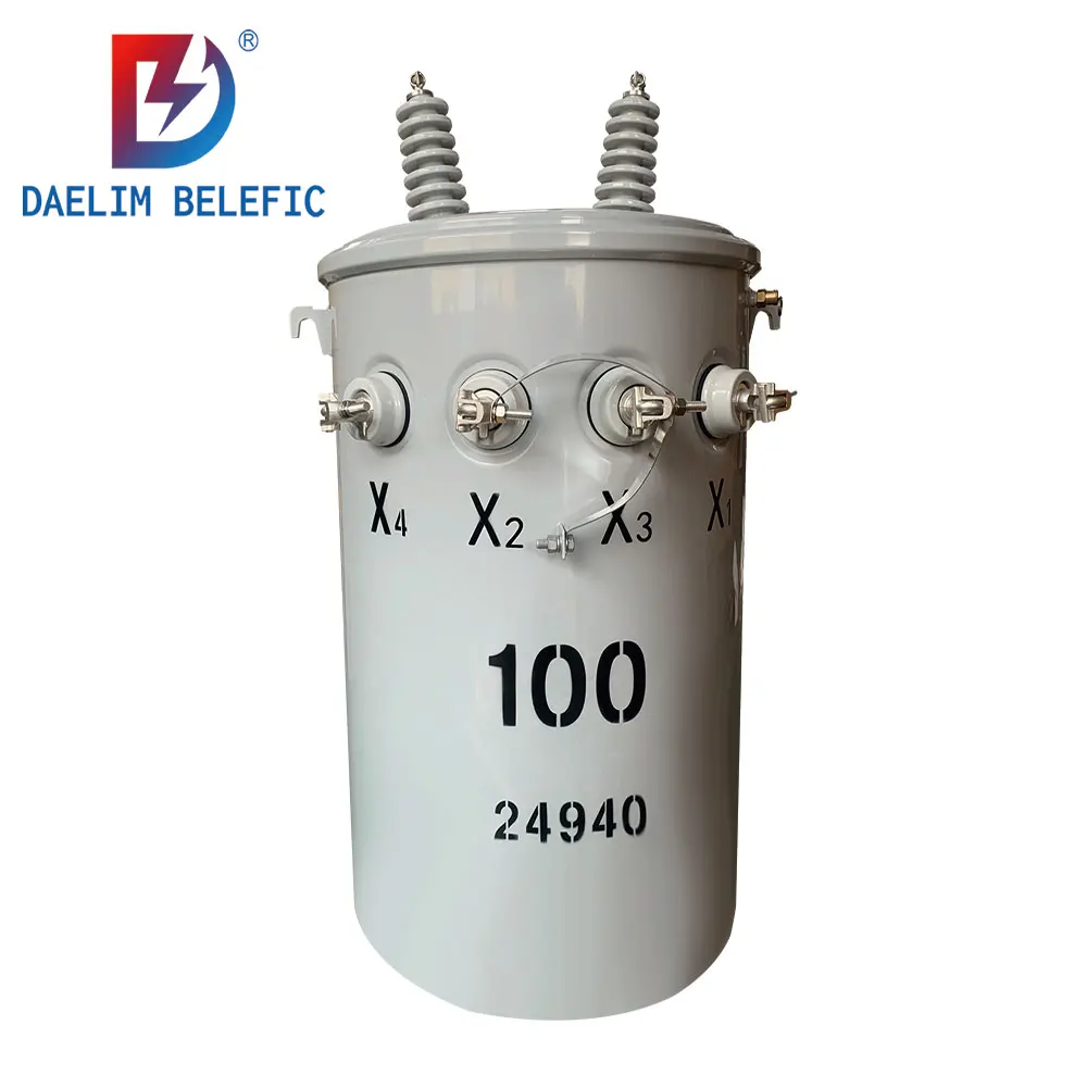 2026 Single Phase 100kva 200kva 250kva 100 200 250 Kva Distribution Pole Mounted Transformador Price
2026 Single Phase 100kva 200kva 250kva 100 200 250 Kva Distribution Pole Mounted Transformador Price