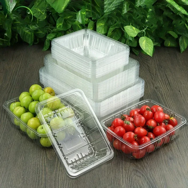 100pcs Black Fruit Packaging Box Disposable Transparent Plastic Uncovered Fruit Boxes Octagonal Rectangle Jackfruit Wrapping Box
100pcs Black Fruit Packaging Box Disposable Transparent Plastic Uncovered Fruit Boxes Octagonal Rectangle Jackfruit Wrapping Box