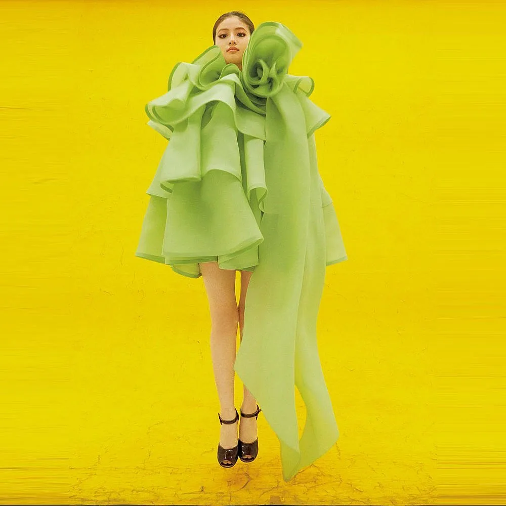 Green Puffy Organza Women Dresses Phottoshoot Birthday Dress Tiered Asymmetrical Style Long Sleeves Short Dance Gowns
Green Puffy Organza Women Dresses Phottoshoot Birthday Dress Tiered Asymmetrical Style Long Sleeves Short Dance Gowns